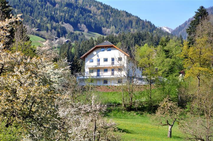 Апартаменты Haus Pflaum Dellach im Drautal Экстерьер фото